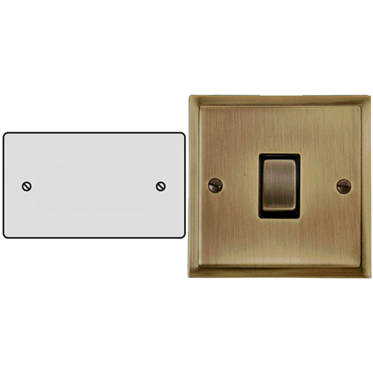 ELS BLANKING PLATE DBL ABR – LFM565B
