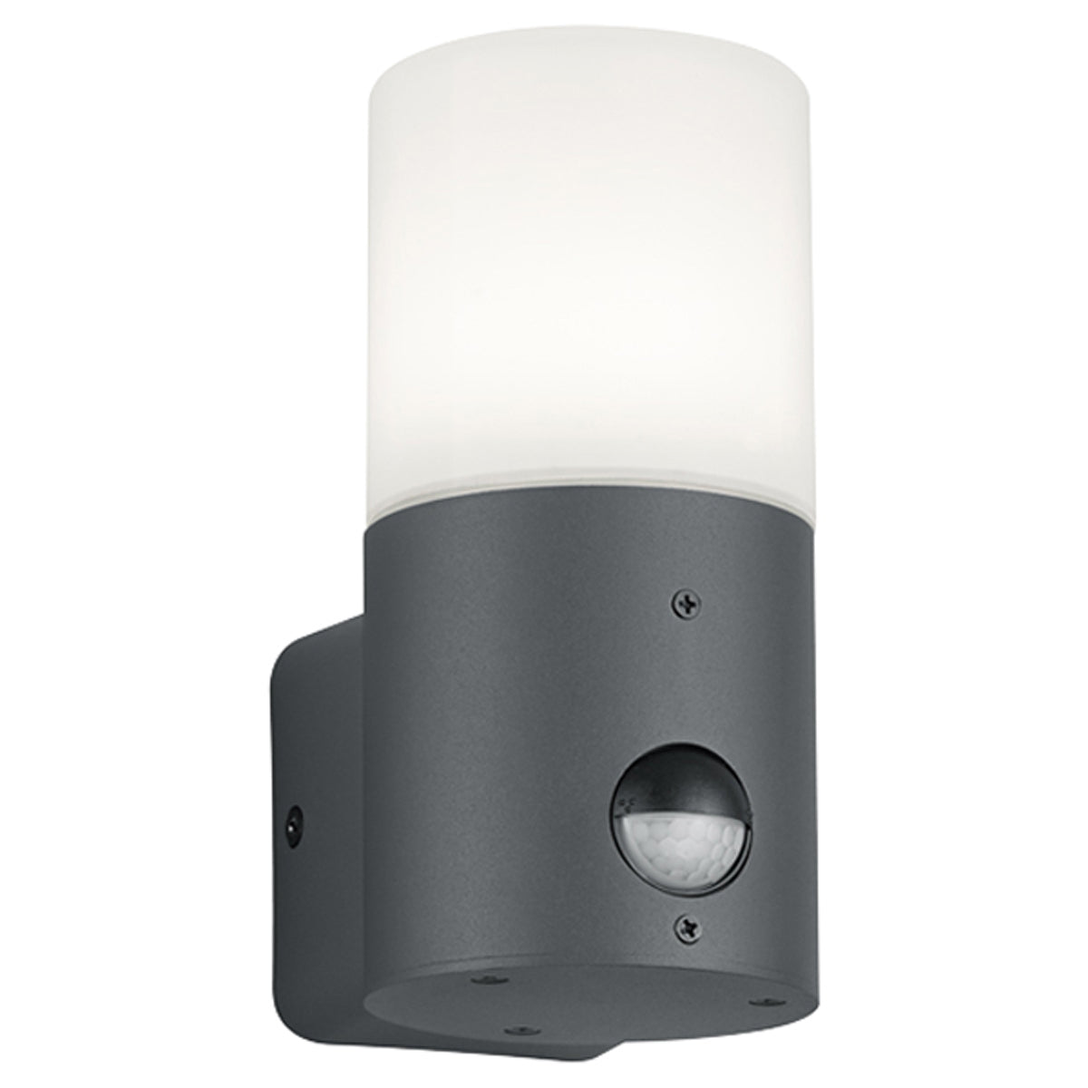 HOOSIC OUTDOOR LIGHT 175x85 PIR