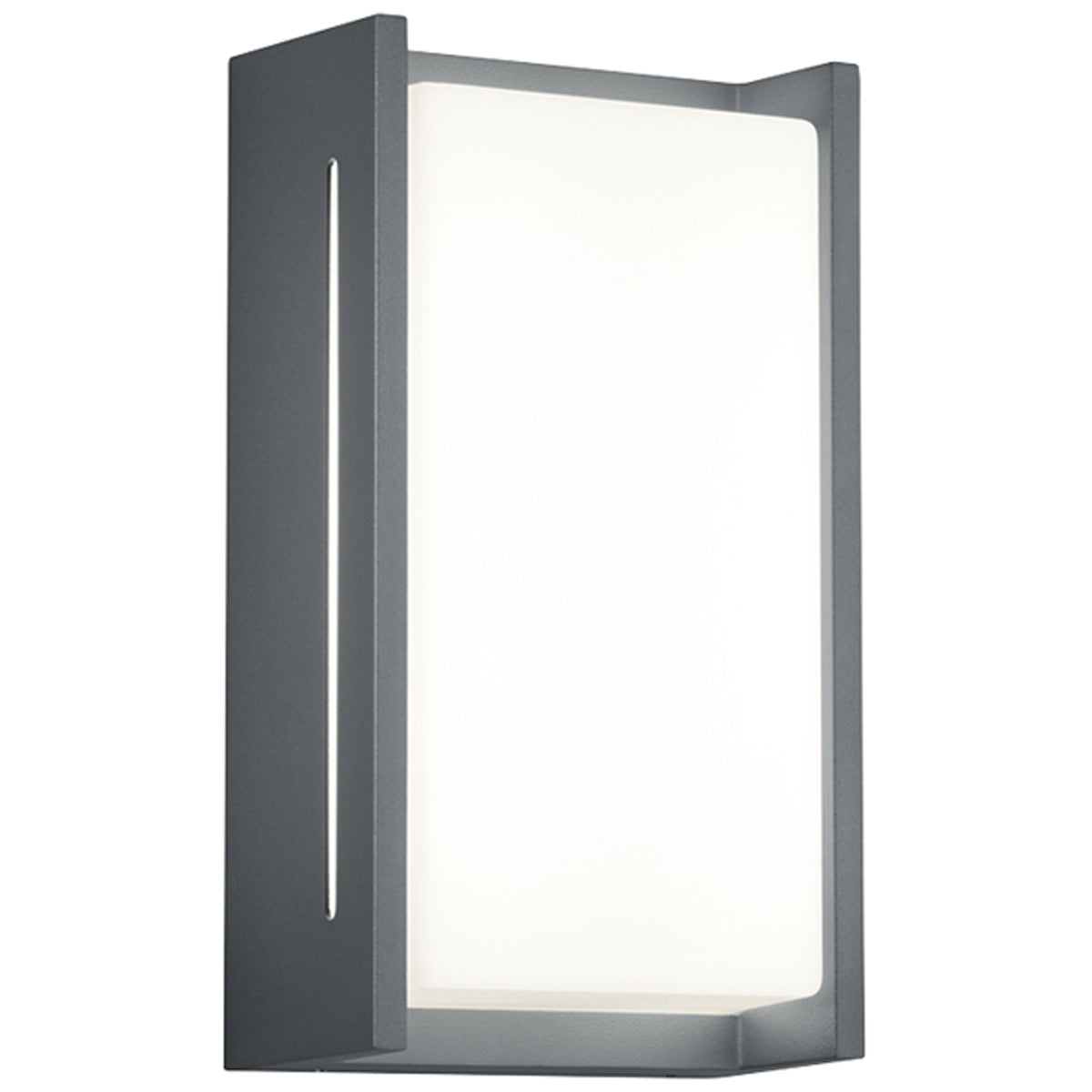LED INDUS WALL LIGHT IP54 ATH/WW