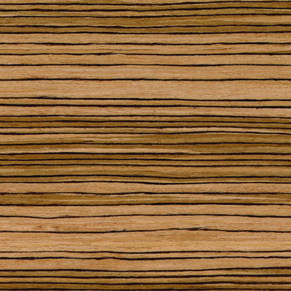 EASIWOOD VENEER 2400x1200 ZEBRANO