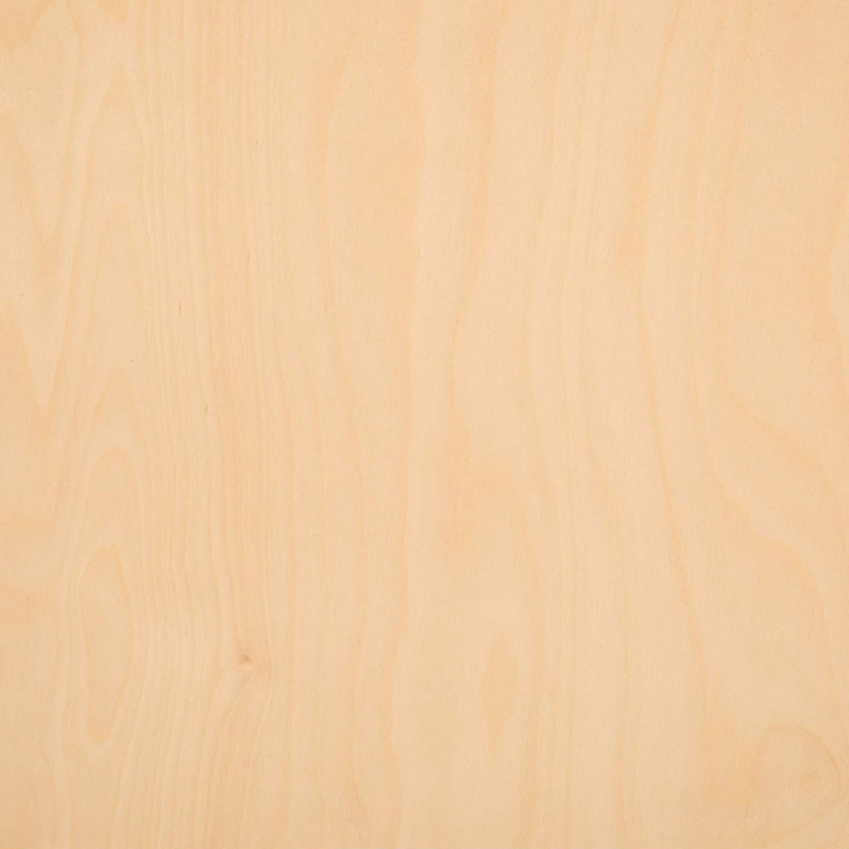 VENEER FSHM BIRCH 50x100m