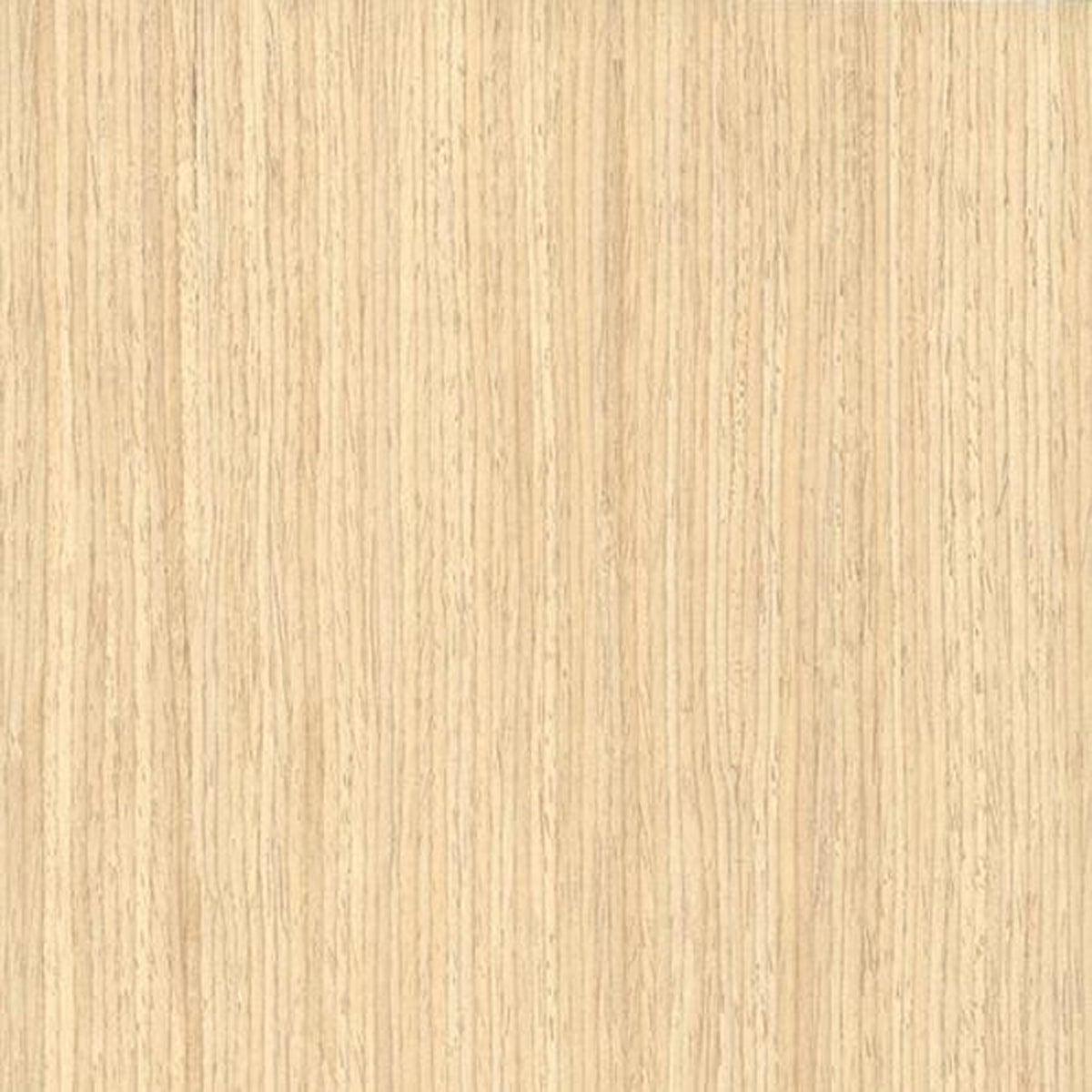 VENEER FSHM OAK/WHITE 50x100m