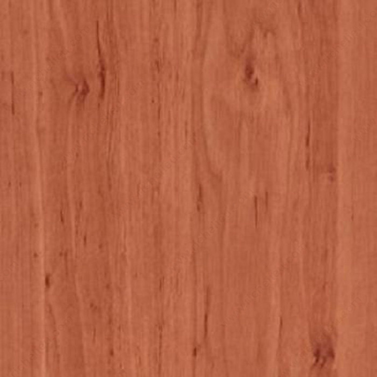 VENEER FSHM ALDER/RED 25x100m