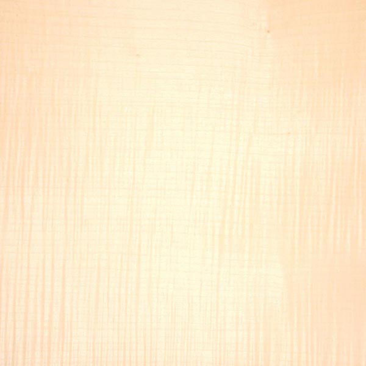 VENEER FSHM SYCAMORE 50x100m