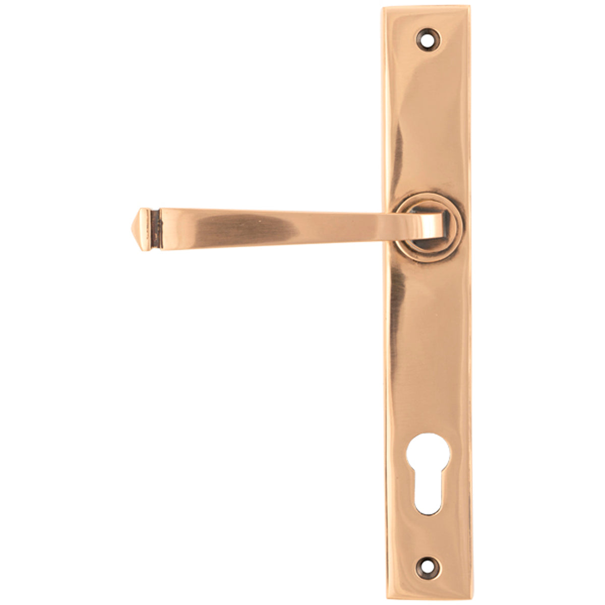 AVON SLIMLINE ESPAGNOLETTE LOCK 118x242x70 PBZ