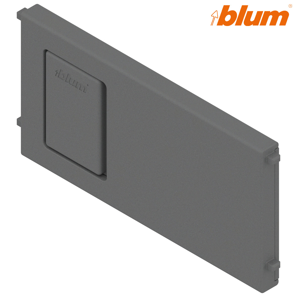 BLUM LEGRABOX AMBIA-LINE CROSS DIVIDER 100x50 OGM