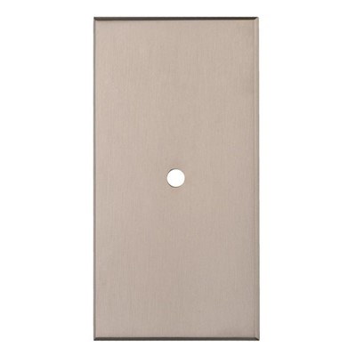 AW CABINET BACKPLATE 076x40 SNP