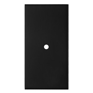 AW CABINET BACKPLATE 40x076 BLK